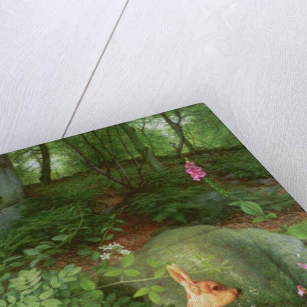 Young Roe Deer in Adel Woods, 1999 by Raymond Booth