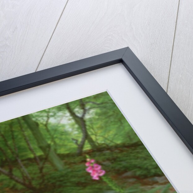 Young Roe Deer in Adel Woods, 1999 by Raymond Booth