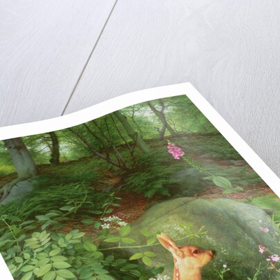 Young Roe Deer in Adel Woods, 1999 by Raymond Booth