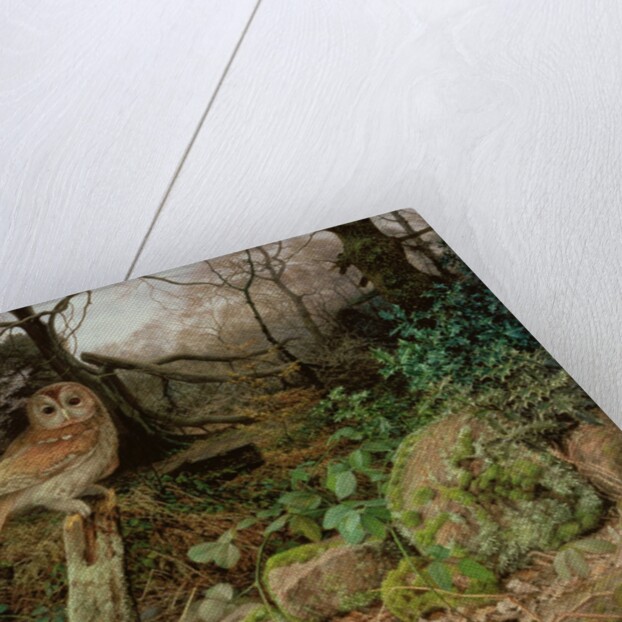 The Wild Wood - A Winter Evening, 1995 by Raymond Booth