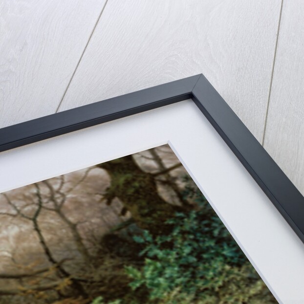 The Wild Wood - A Winter Evening, 1995 by Raymond Booth