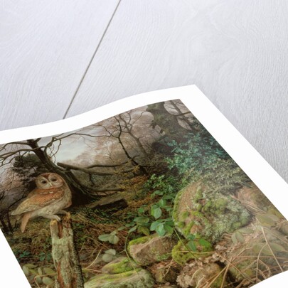 The Wild Wood - A Winter Evening, 1995 by Raymond Booth