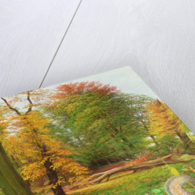 Squirrel on a Fallen Tree, 1995 by Raymond Booth