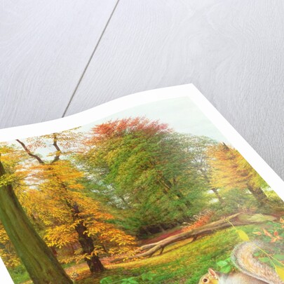 Squirrel on a Fallen Tree, 1995 by Raymond Booth