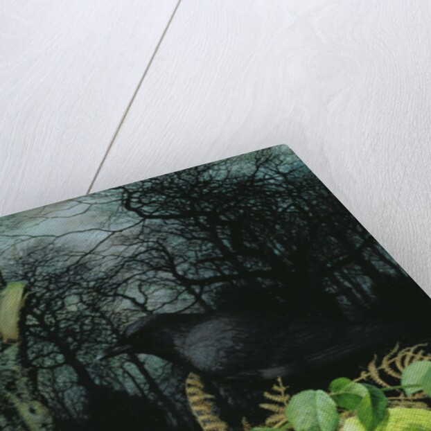 Midwinter in the Woods, 1999 by Raymond Booth