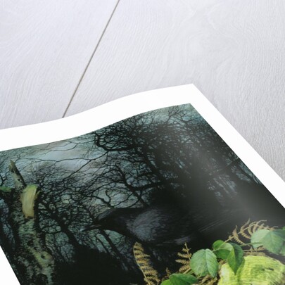 Midwinter in the Woods, 1999 by Raymond Booth