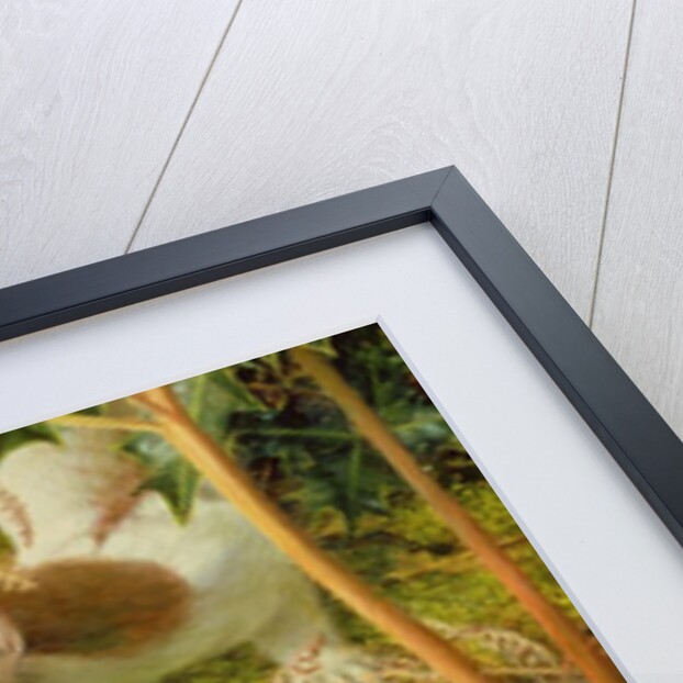 Stoat in Winter, 2000 by Raymond Booth