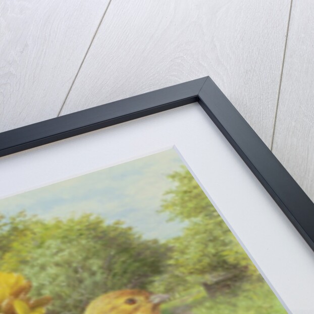 Gorse and Yellow Hammer, 2000 by Raymond Booth