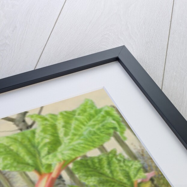 In the Rhubarb Patch, 2000 by Raymond Booth