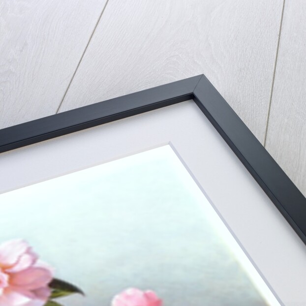 Camellia Japonica Variety, 1993 by Raymond Booth