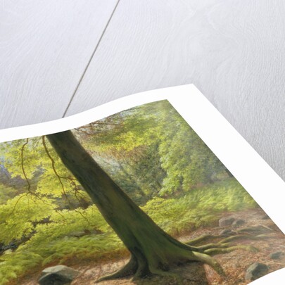 Spring Sunshine in Adel Woods, 1993 by Raymond Booth