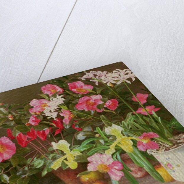 November Flowers, 1993 by Raymond Booth