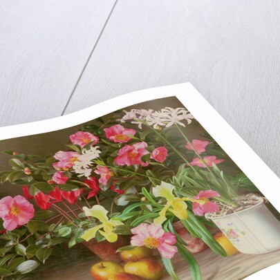 November Flowers, 1993 by Raymond Booth