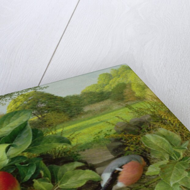 Katja Apple and Bullfinch, 1999 by Raymond Booth