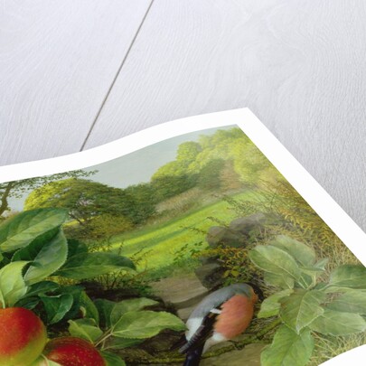 Katja Apple and Bullfinch, 1999 by Raymond Booth