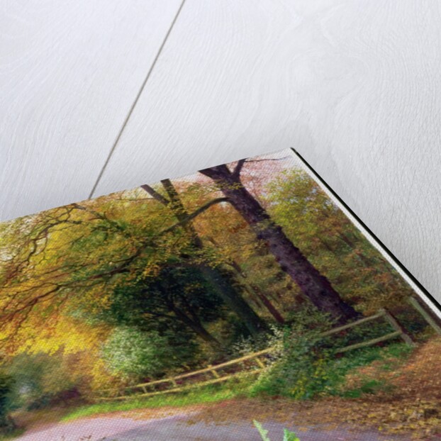 October Evening on Crag Lane, 1997 by Raymond Booth