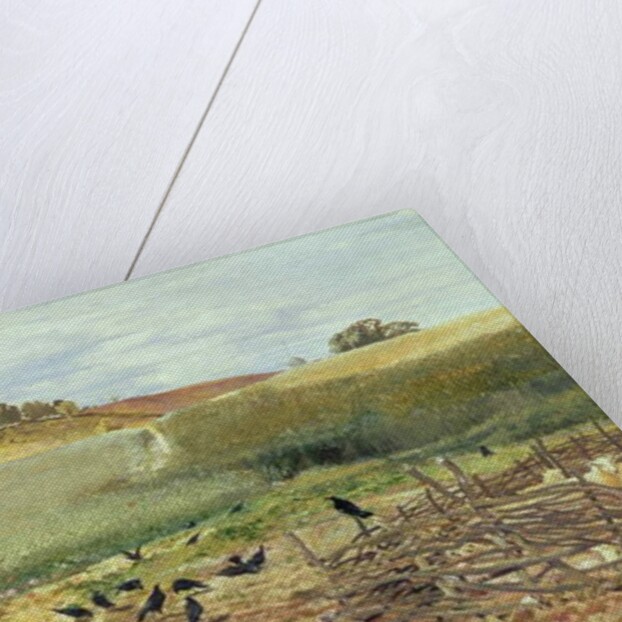 The Rooks' Parliament, 1858 by John Samuel Raven