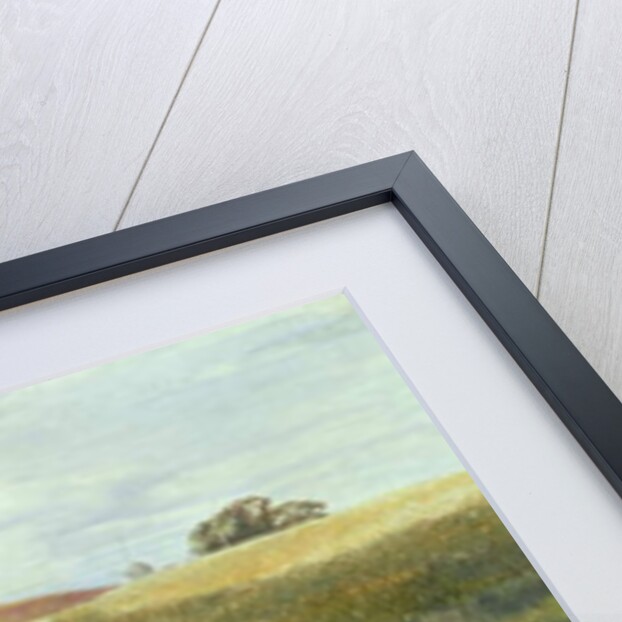 The Rooks' Parliament, 1858 by John Samuel Raven