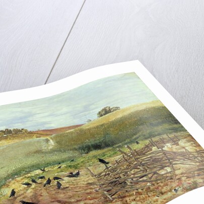 The Rooks' Parliament, 1858 by John Samuel Raven