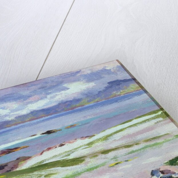 Iona, 1928 by Francis Campbell Boileau Cadell