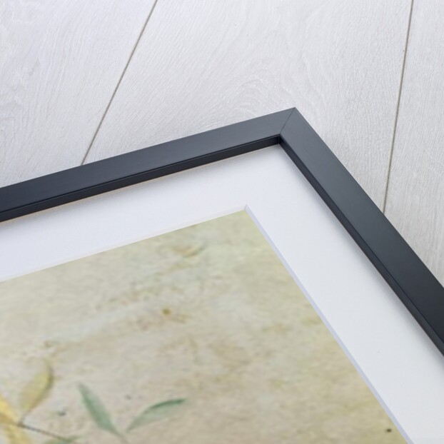 Chameleon, 1901 by Edwin John Alexander