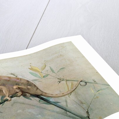 Chameleon, 1901 by Edwin John Alexander