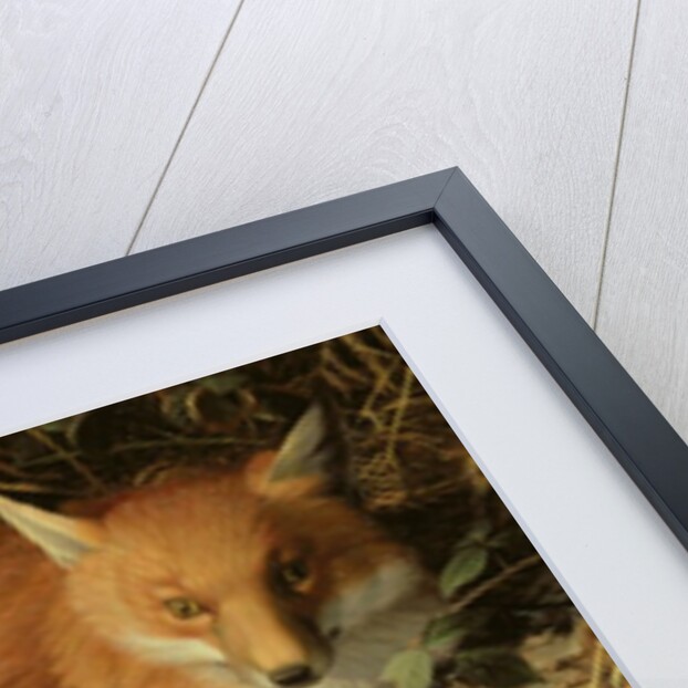 The Fox, 1971 by Raymond Booth