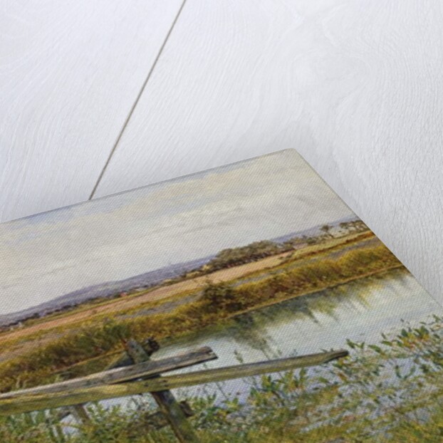 The Roadside, 1862 by John Edward Newton