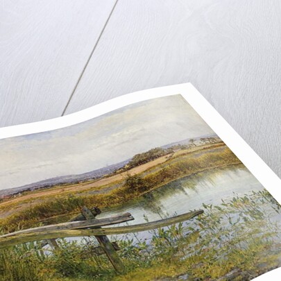 The Roadside, 1862 by John Edward Newton