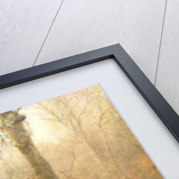 Sir Bevis and the Woodwoman, 1887-88 by John William North