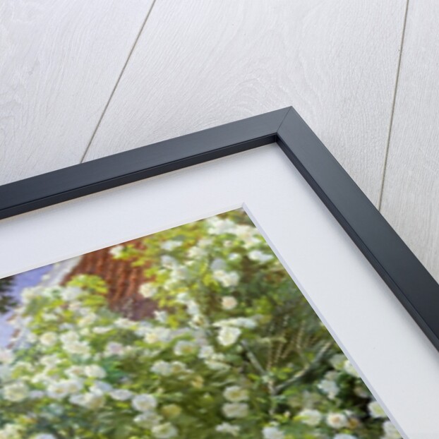 Roses, or The Artist's Wife in the Garden at Skagen, 1883 by Peder Severin Kroyer