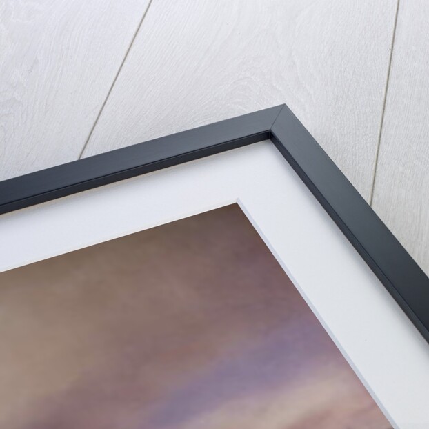 The Entrance to the Golden Horn, Constantinople by Amadeo Preziosi