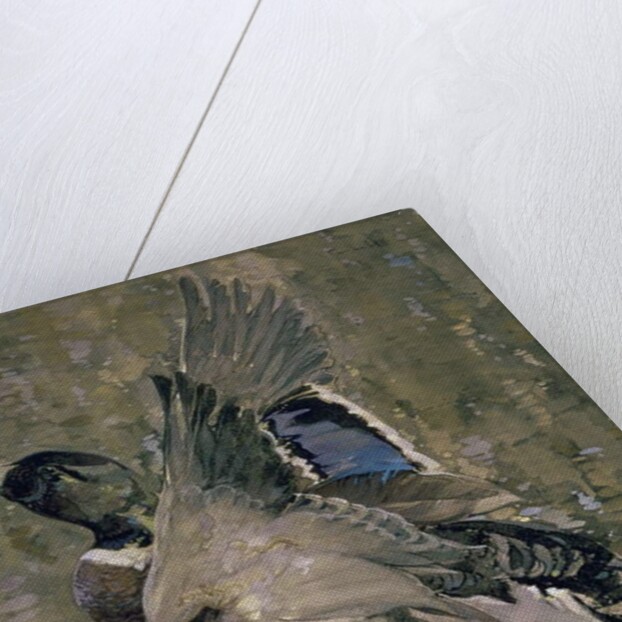 Mallard Rising by Joseph Crawhall