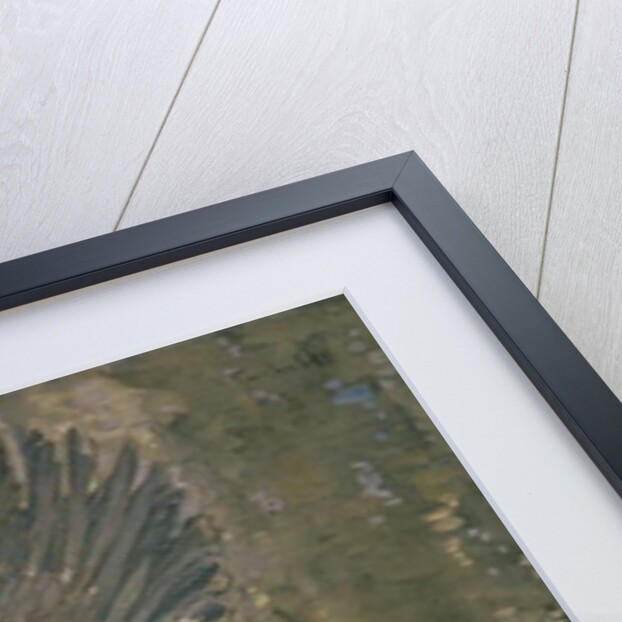 Mallard Rising by Joseph Crawhall