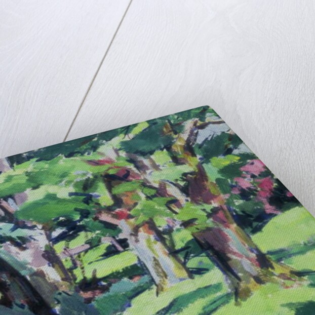 Trees at Auchinleck, Ayrshire by Francis Campbell Boileau Cadell