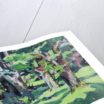 Trees at Auchinleck, Ayrshire by Francis Campbell Boileau Cadell