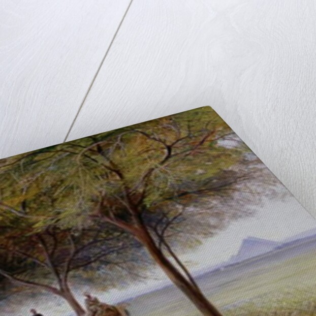 View of the Pyramids Road, Giza by Edward Lear