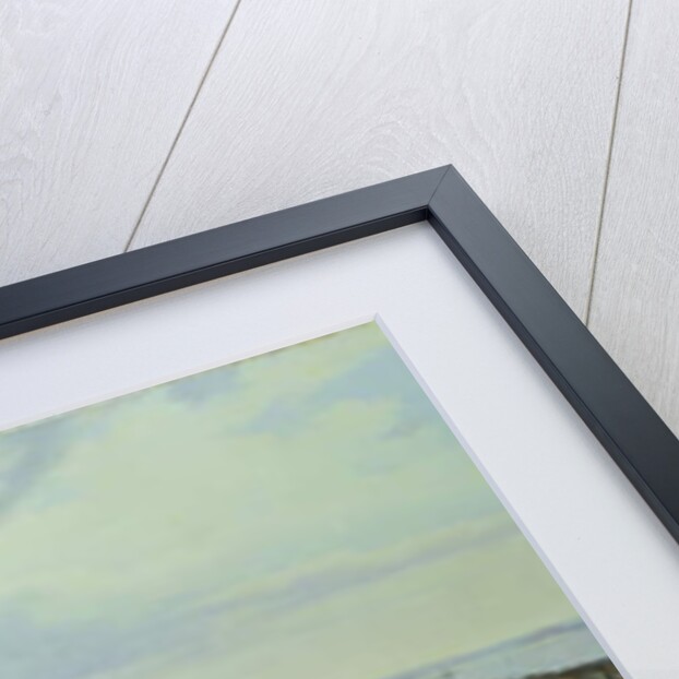 Panorama of Constantinople from the Suleymaniye Camii, 1844 by Hubert Sattler