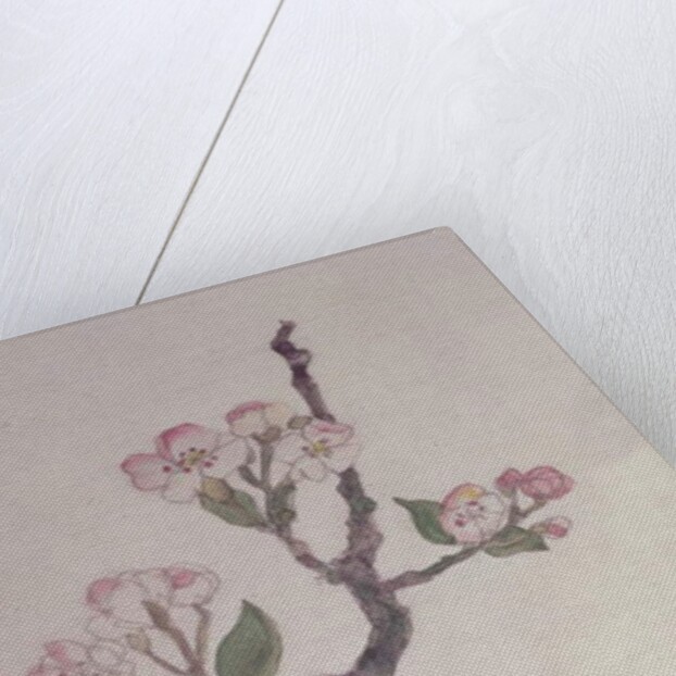 Apple, Walberswick, 1915 by Charles Rennie Mackintosh