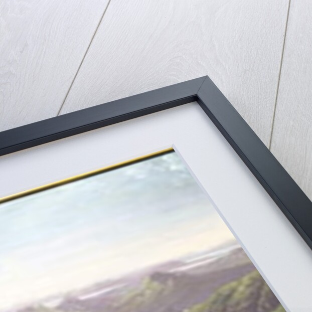 South-west view from Ben Lomond by John Knox