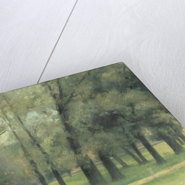 Elms near Long Walk by Paul Fordyce Maitland