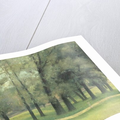 Elms near Long Walk by Paul Fordyce Maitland