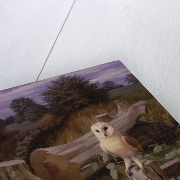 Barn Owl at Dawn, 1980 by Raymond Booth