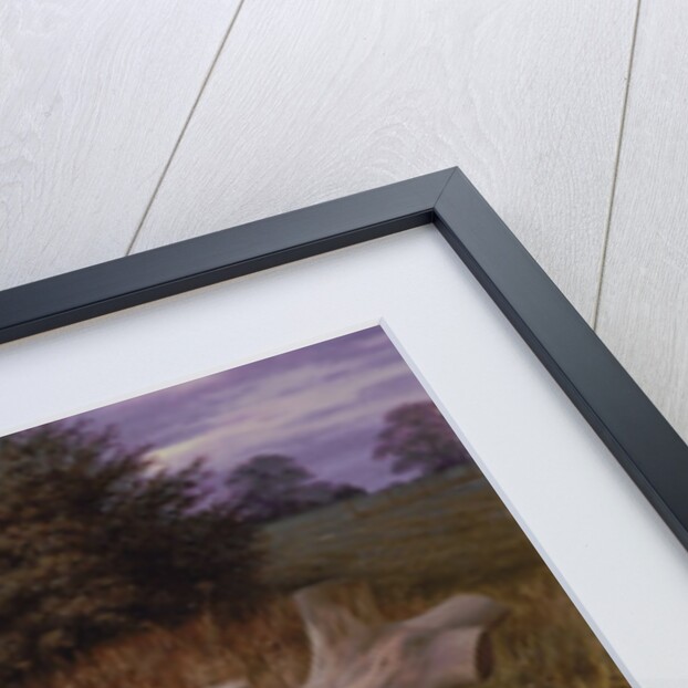 Barn Owl at Dawn, 1980 by Raymond Booth