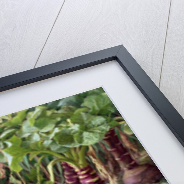 Magpies in the Vegetable Garden by Raymond Booth
