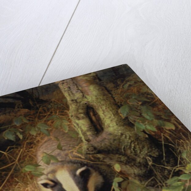 Badgers, 1982 by Raymond Booth