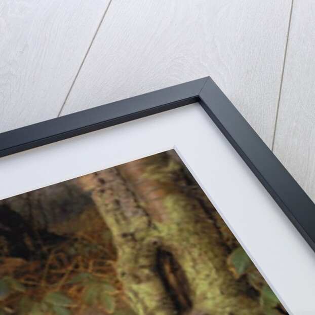 Badgers, 1982 by Raymond Booth