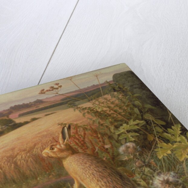 Hare in a Field, 1980 by Raymond Booth