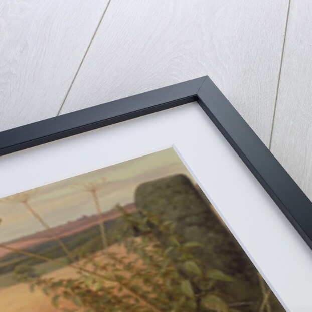 Hare in a Field, 1980 by Raymond Booth