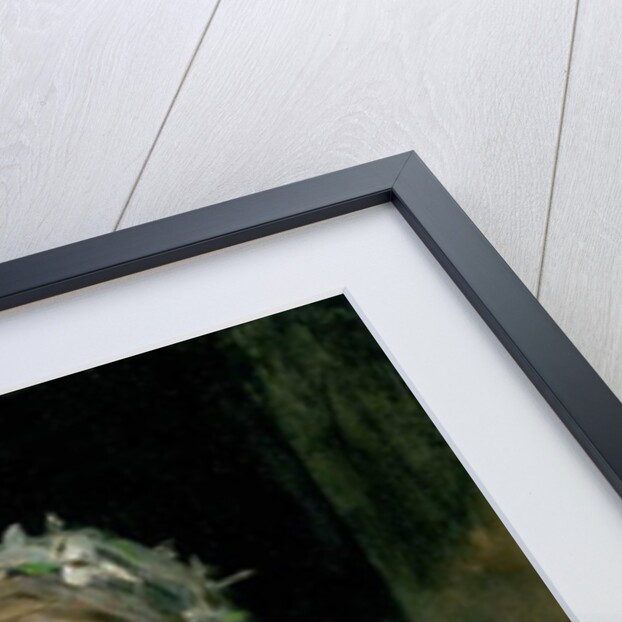 Portrait of a Bride by James Jebusa Shannon